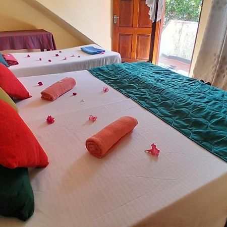 New Sea Lion Guest House هيكادوفا المظهر الخارجي الصورة