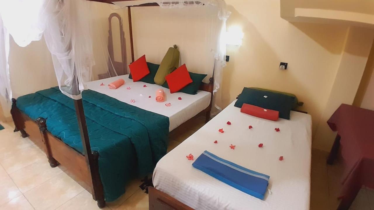 New Sea Lion Guest House هيكادوفا المظهر الخارجي الصورة