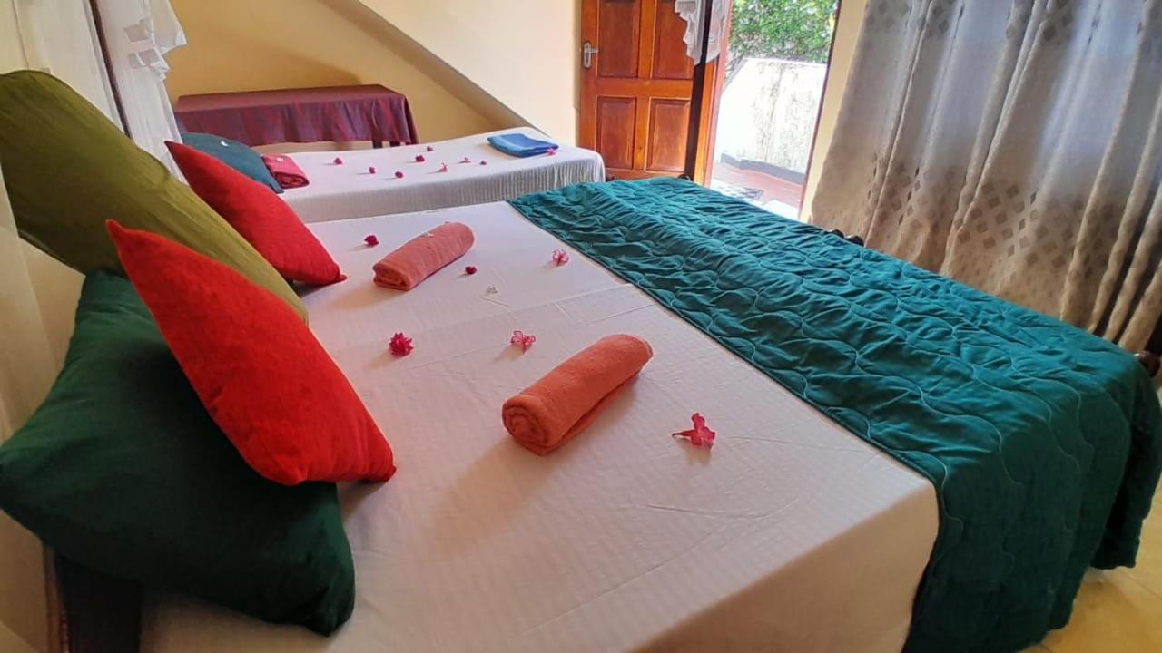 New Sea Lion Guest House هيكادوفا المظهر الخارجي الصورة