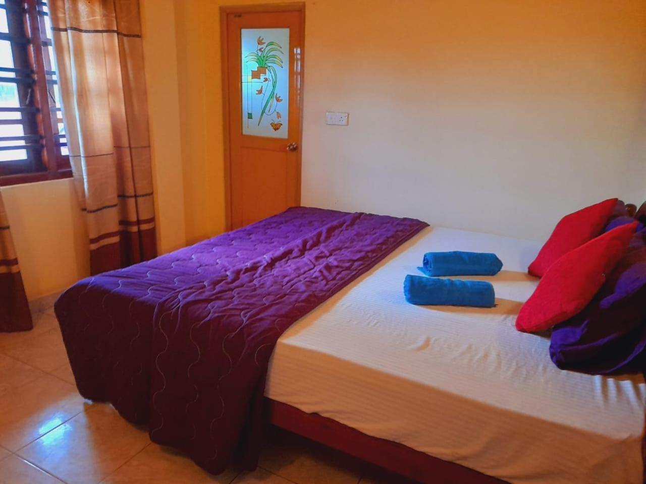 New Sea Lion Guest House هيكادوفا المظهر الخارجي الصورة