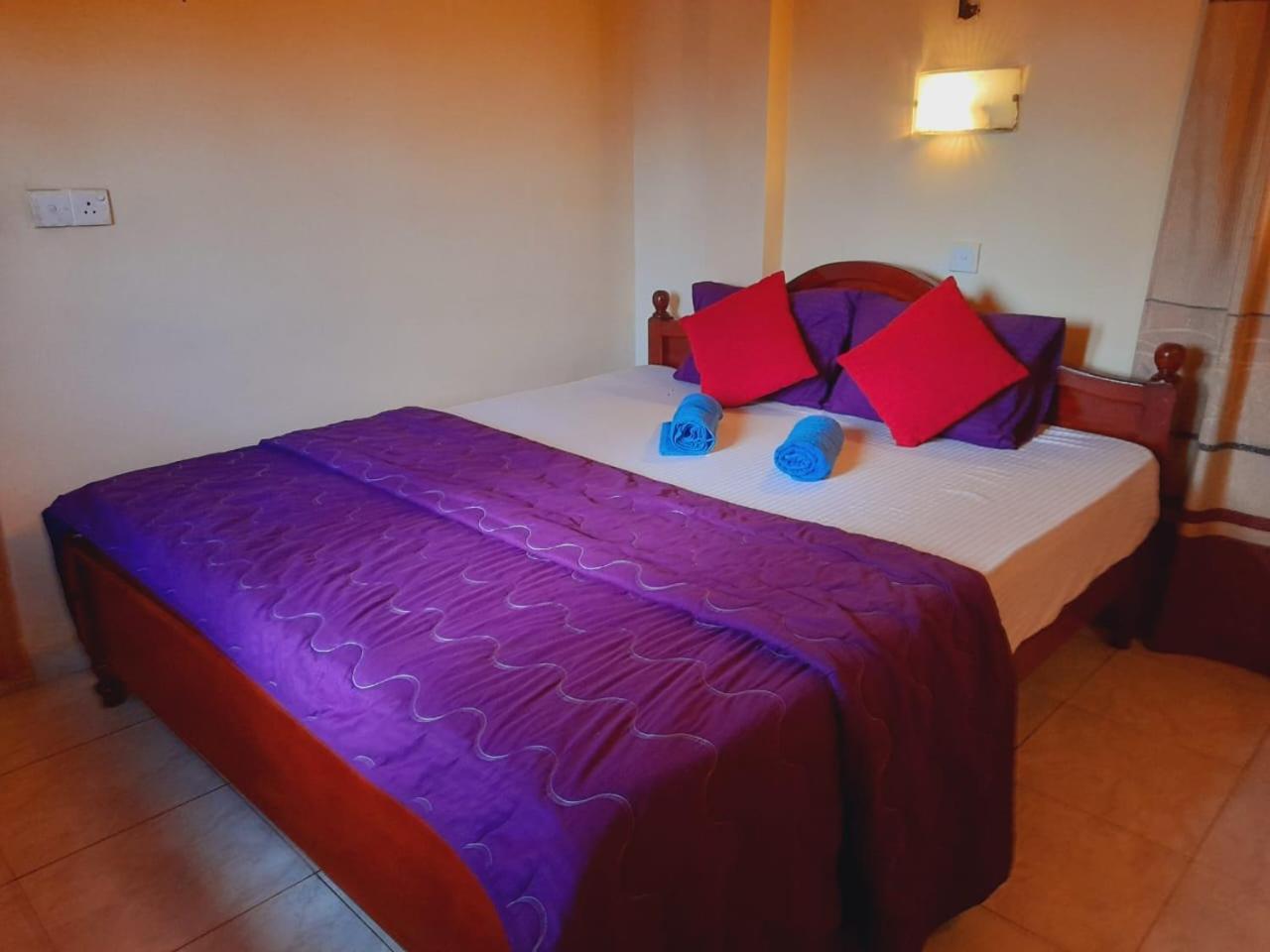 New Sea Lion Guest House هيكادوفا المظهر الخارجي الصورة