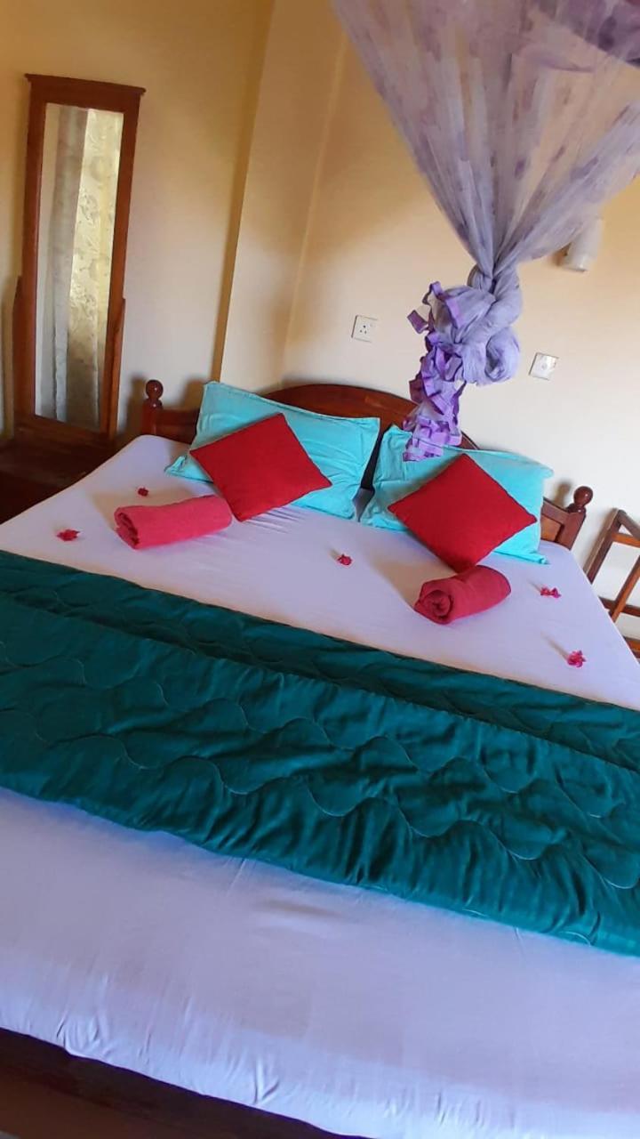 New Sea Lion Guest House هيكادوفا المظهر الخارجي الصورة