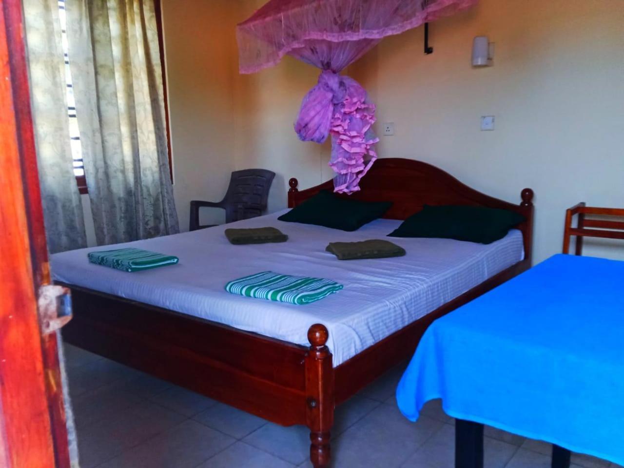 New Sea Lion Guest House هيكادوفا المظهر الخارجي الصورة