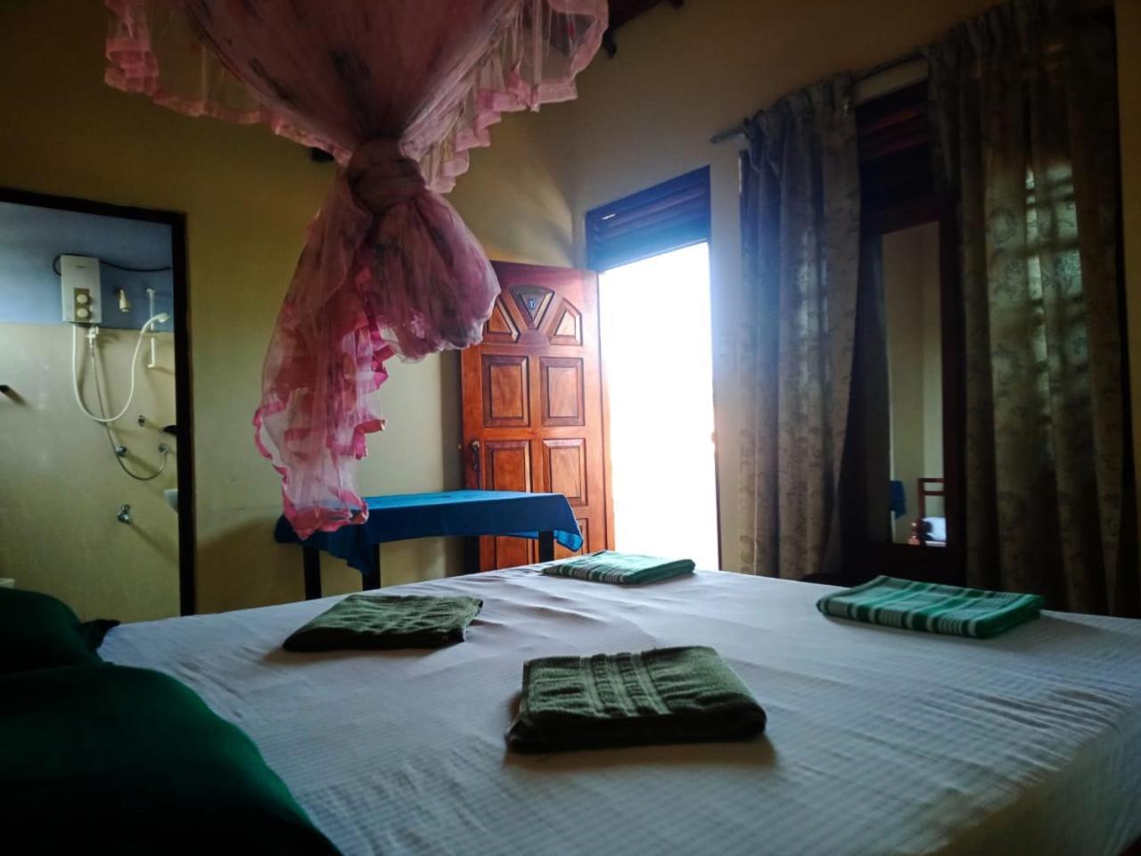 New Sea Lion Guest House هيكادوفا الغرفة الصورة