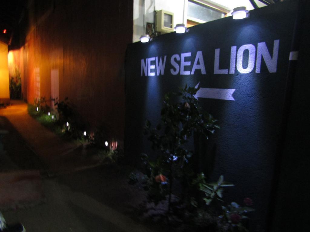 هيكادوفا New Sea Lion Guest House المظهر الخارجي الصورة