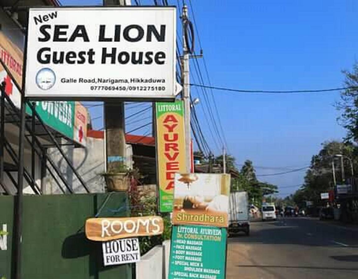 هيكادوفا New Sea Lion Guest House المظهر الخارجي الصورة